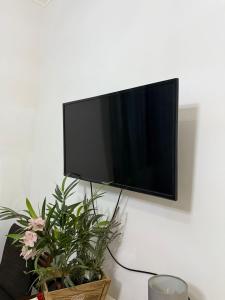 ローマにあるAffaccio su Piazza Navonaの植物の壁掛け薄型テレビ