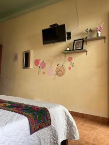 a bedroom with a bed and a tv on the wall at Candileja Hostel in Jardin