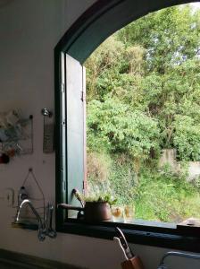 a window in a kitchen with a view of a tree at Casa Antiga em OP in Ouro Preto