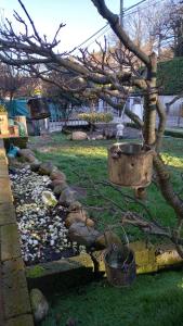 a garden with buckets on a tree with a creek at Villa Mary in Venegono Superiore +20 photos