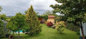 a yard with two trees and a house at La Casona RibeiraSacra in Moreiras