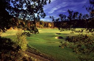a green golf course with a hole in the grass at Swiss Cottage in Ballindalloch
