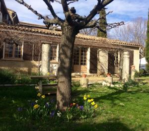 un arbre devant une maison avec des fleurs dans l'établissement Gite du Relarguier, maison de village en Luberon, Provence, à Mérindol