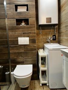 Koupelna v ubytování Apartman Darvin / Lux