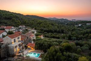 an aerial view of a house with a swimming pool at Villa pero -an artists home in Ždrelac