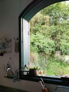 a kitchen window with a view of a tree at Casarão em OP in Ouro Preto
