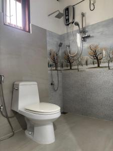 a bathroom with a toilet and a shower at Tropical Villa in Galle +20 photos
