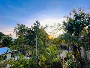 a view of a jungle with palm trees and a house at Ella Serene Stay in Ella
