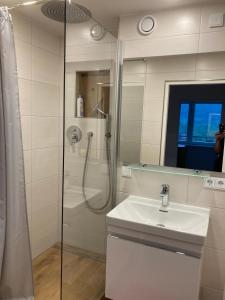 a bathroom with a shower and a sink and a mirror at Ferienwohnung Alpenpanorama Bad Reichenhall in Bad Reichenhall