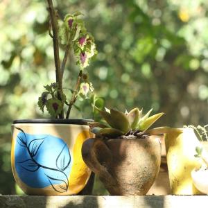 Φωτογραφία από το άλμπουμ του Refúgio Boa Sorte , Sana -Macaé RJ σε Sana