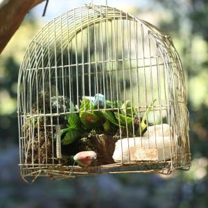 Φωτογραφία από το άλμπουμ του Refúgio Boa Sorte , Sana -Macaé RJ σε Sana