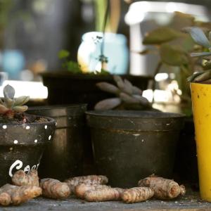 Φωτογραφία από το άλμπουμ του Refúgio Boa Sorte , Sana -Macaé RJ σε Sana