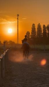 a person riding a horse in the dirt at sunset at No alquilar in Cucullú