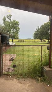 a fence in front of a field with a park at No alquilar in Cucullú