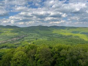 an aerial view of a valley with trees and mountains at Kiskörtés Vendégház Óhuta in Háromhuta +6 photos