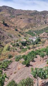 Príroda v okolí of the country house