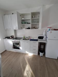 Kuchyň nebo kuchyňský kout v ubytování Apartman Jass