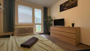 a bedroom with a bed with a television and a dresser at apartmán pod turbínou in Loučná nad Desnou