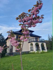 een boom met roze bloemen voor een huis bij Apartamenty Brenna Klimorówka in Brenna