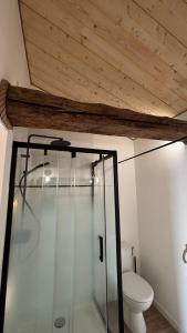 a glass shower in a bathroom with a toilet at Le Logis du Petit Lay in Les Herbiers +36 photos