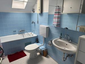 Koupelna v ubytování Appartement Lorke