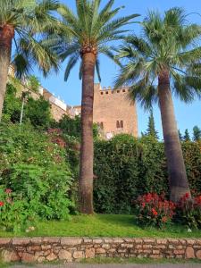 two palm trees in front of a building at Villa 25 in Cabra