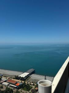 a view of the ocean from an airplane window at Апарт-отель в Панорама Бич in Batumi
