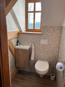 a bathroom with a toilet and a sink and a window at Chalupa Ostrůvek in Tachov
