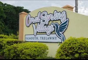 法尔茅斯Quiet 2 bedroom 2 bathroom Home in Falmouth, Jamaica Parish of Trelawny的树上的标志