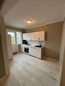 Η κουζίνα ή μικρή κουζίνα στο Elvegata 6, H0301 Kristiansand