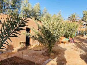 Zahrada ubytování Auberge L'Oasis Mhamid