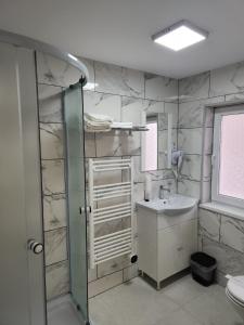 Koupelna v ubytování Casa Lupeni