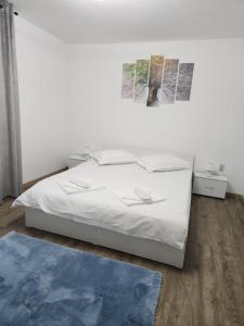 Postel nebo postele na pokoji v ubytování Casa Lupeni