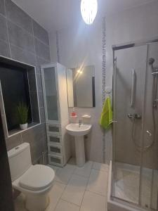 un bagno con wc, lavandino e doccia di Inessa's flat a Pieta