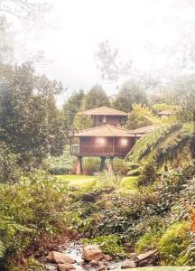 Zahrada ubytování Nature Cabins - Santo da Serra