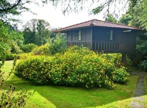 Zahrada ubytování Nature Cabins - Santo da Serra