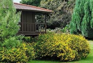 Zahrada ubytování Nature Cabins - Santo da Serra
