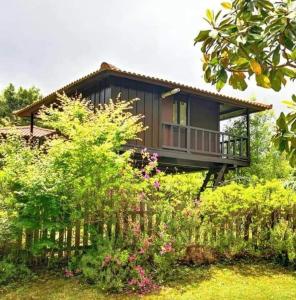 Zahrada ubytování Nature Cabins - Santo da Serra