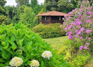 Zahrada ubytování Nature Cabins - Santo da Serra