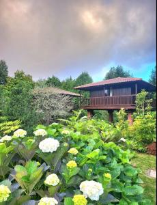 Zahrada ubytování Nature Cabins - Santo da Serra