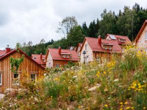 a row of wooden houses with red roofs at Ferienhaus in Schierke for 7 Personen in Schierke