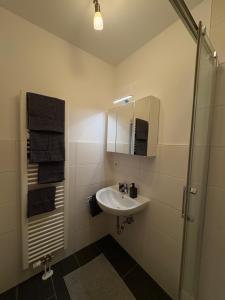 a white bathroom with a sink and a shower at Modernes Serviced Apartment Wohnglück 2 in Ansbach