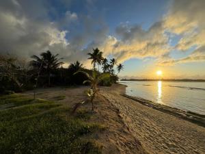 a palm tree on a beach with the sunset at Parea Lodge Huahine Bungalow 2#FETI'A in Parea
