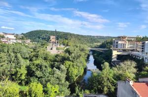 a view of a river with a bridge and buildings at St Sava Legendary House in Veliko Tŭrnovo