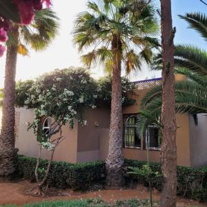 a building with palm trees in front of it at Villa du soleil in Mirleft