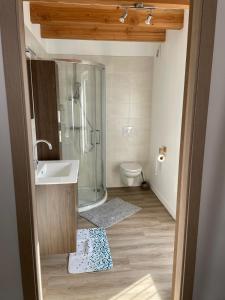 a bathroom with a shower and a sink and a toilet at La Maison de Georgette in Versols-et-Lapeyre