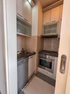 Kuchyň nebo kuchyňský kout v ubytování Belvil Belgrade