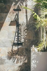 Fotografie z fotogalerie ubytování Domaine de la Palmeraie - Villas Lodge v destinaci Le Diamant