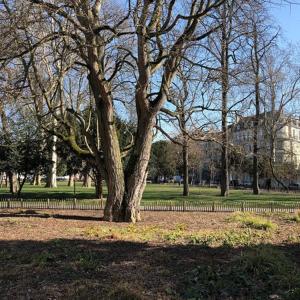 Vonkajšia záhrada v ubytovaní Jolie appartement + 5 fotografií