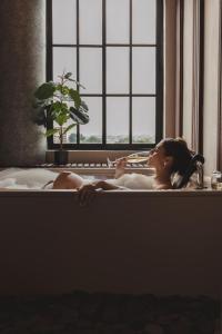 Majutusasutuse Hotel Osvé Boutique Cali külastajad